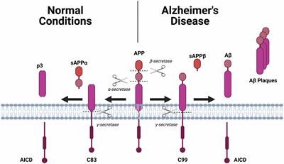 Dietary Regulation of Gut-Brain Axis in Alzheimer’s Disease: Importance of Microbiota Metabolites